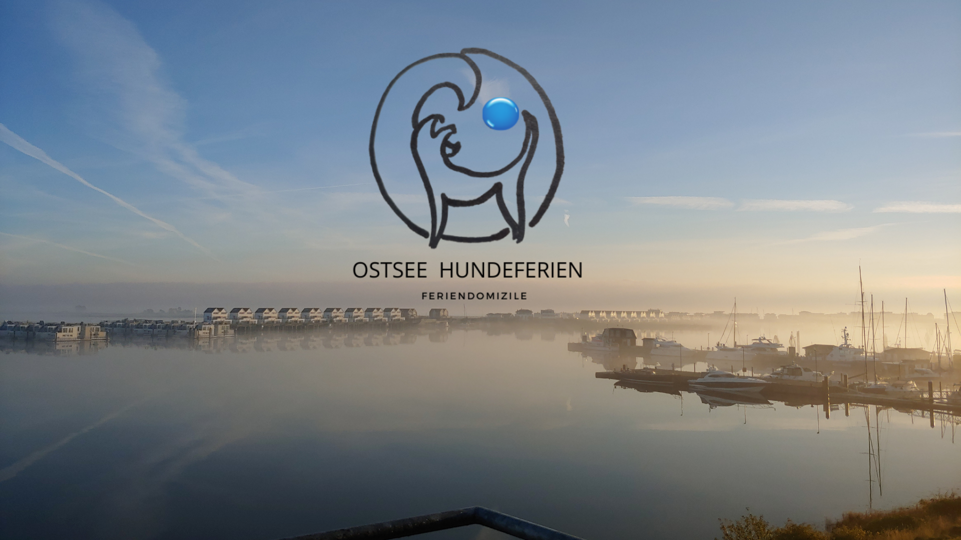 Ostsee Hundeferien Startseite